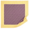 Women Barrie Cashmere scarf