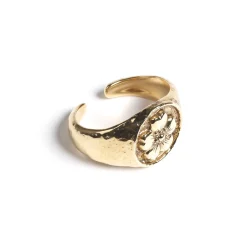 Women Barrie Floral motif scarf ring